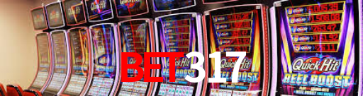 Interface Premium bet317